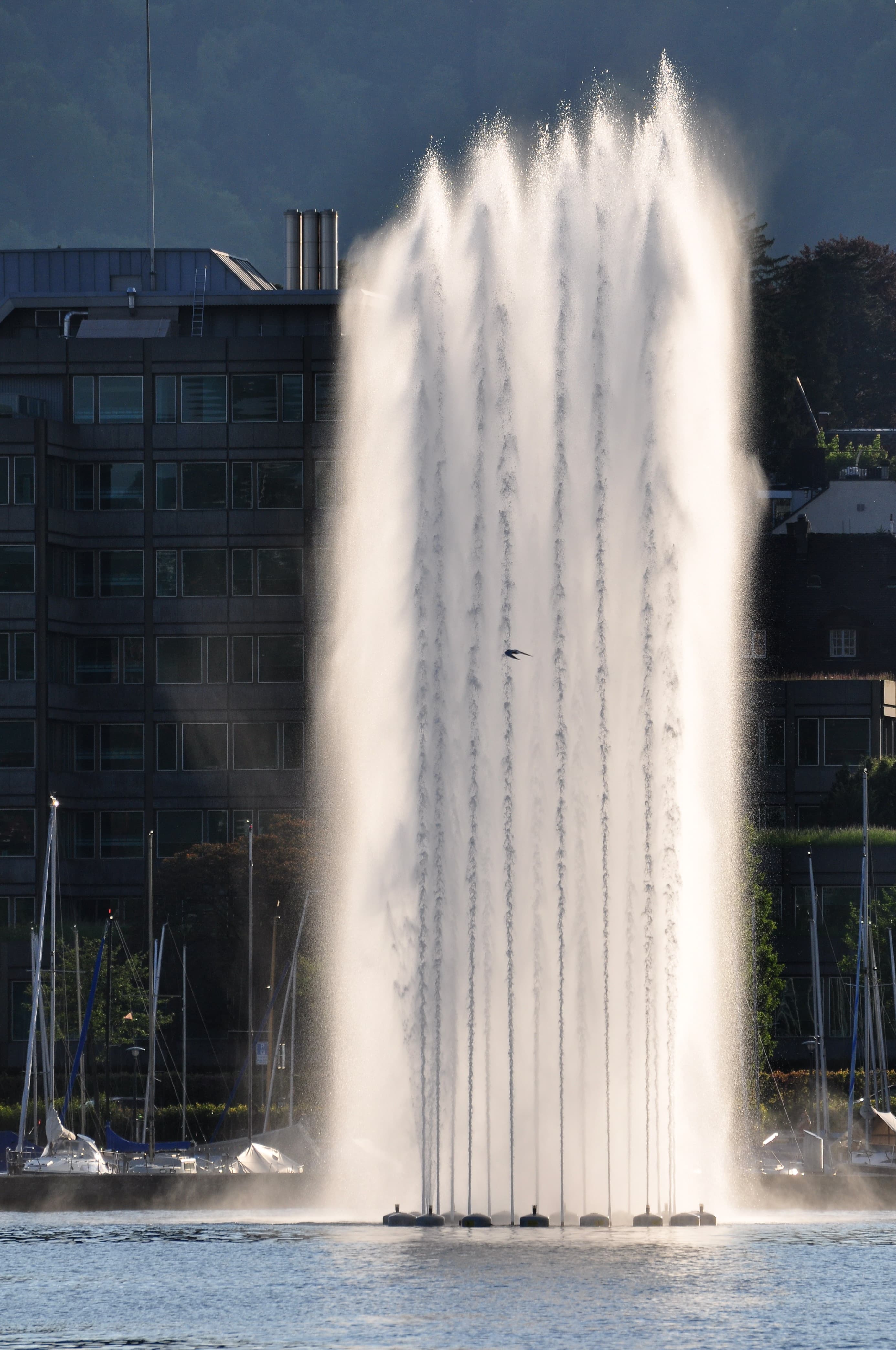 Springbrunnen (Zürichsee fountain) in Zürich-Enge (Switzerland) as seen from ZSG paddle steamship Stadt Rapperswil