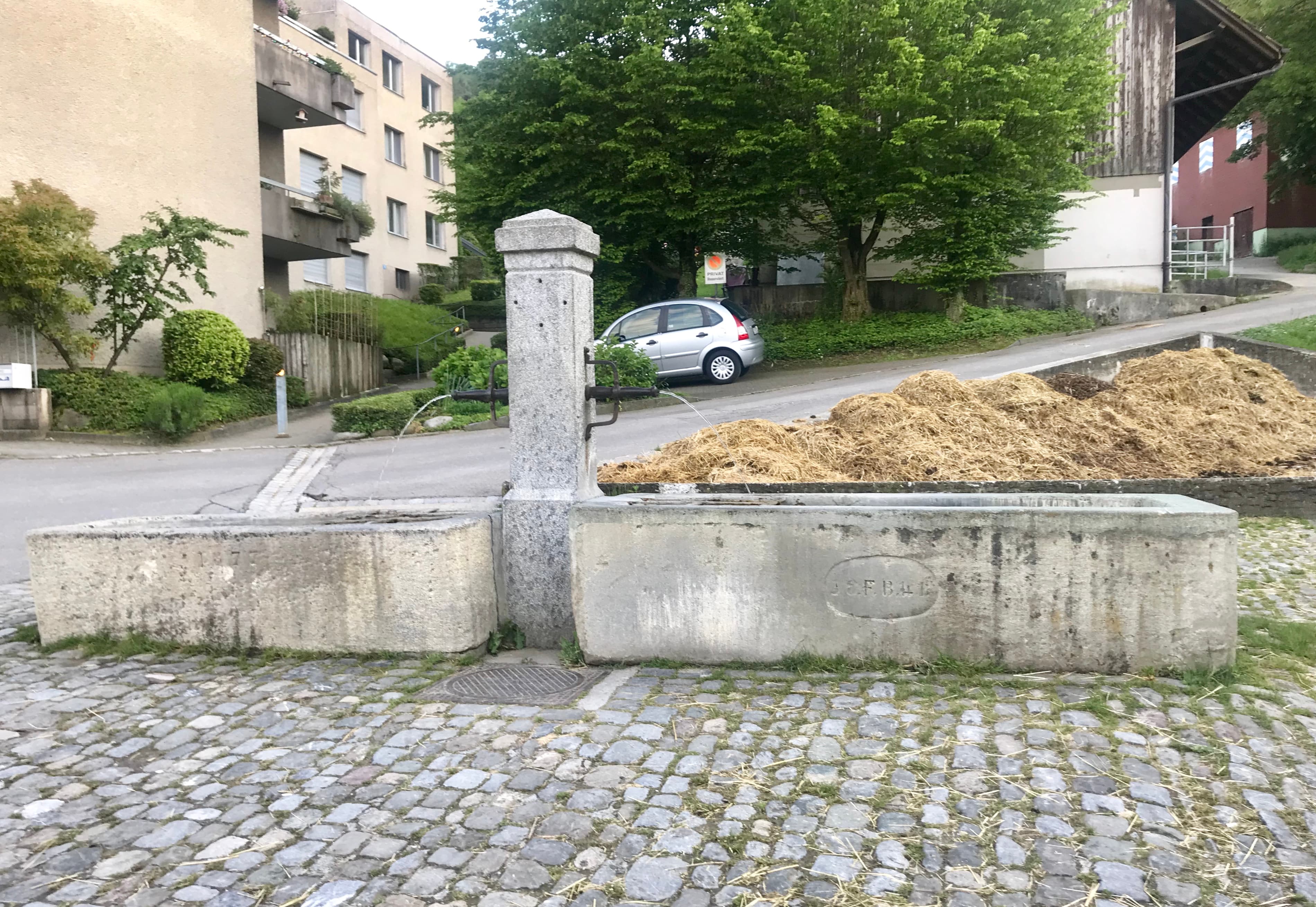 Friesenbergstrasse/Zielweg
