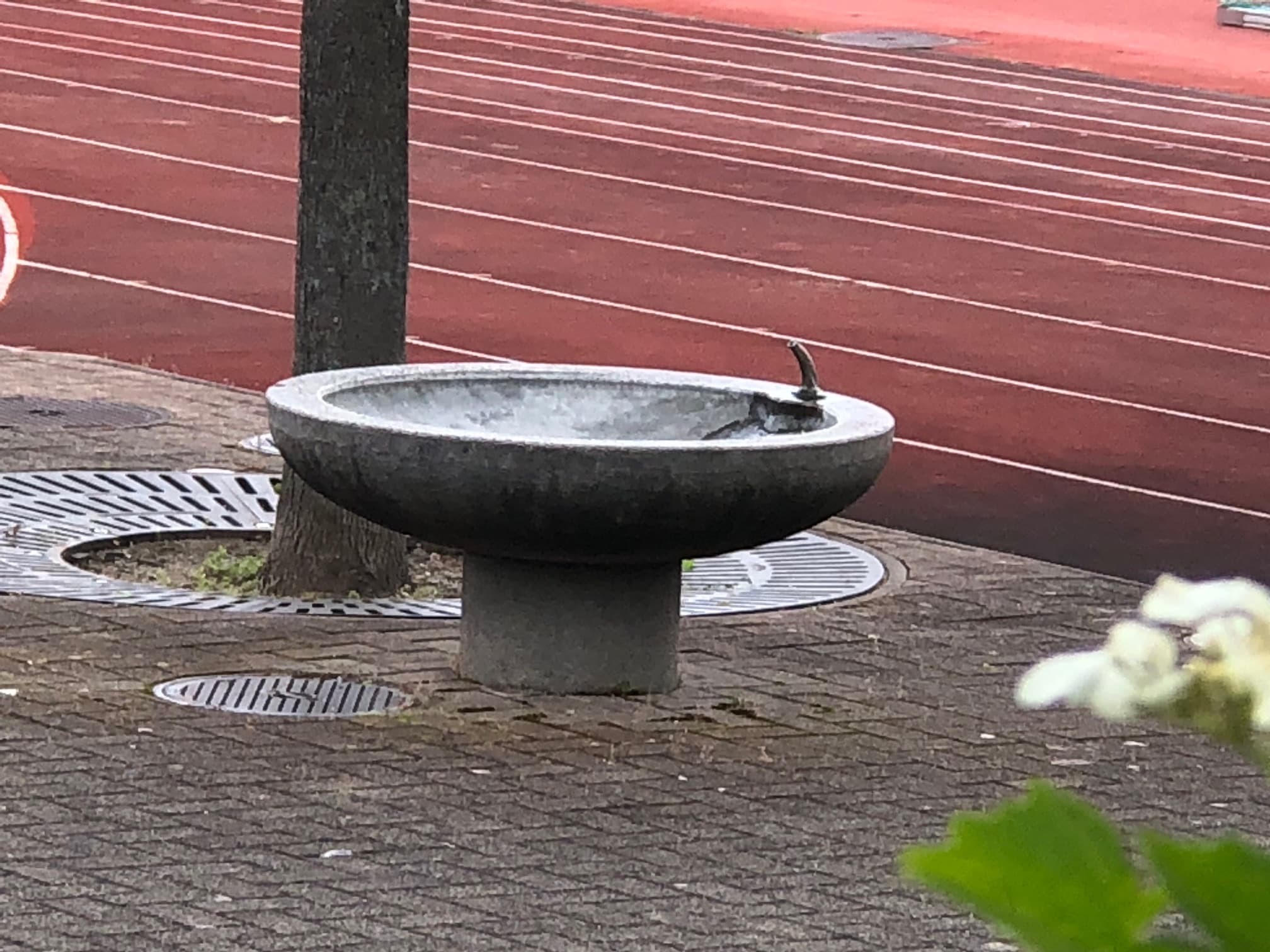 Rämistrasse hinter 76, 80