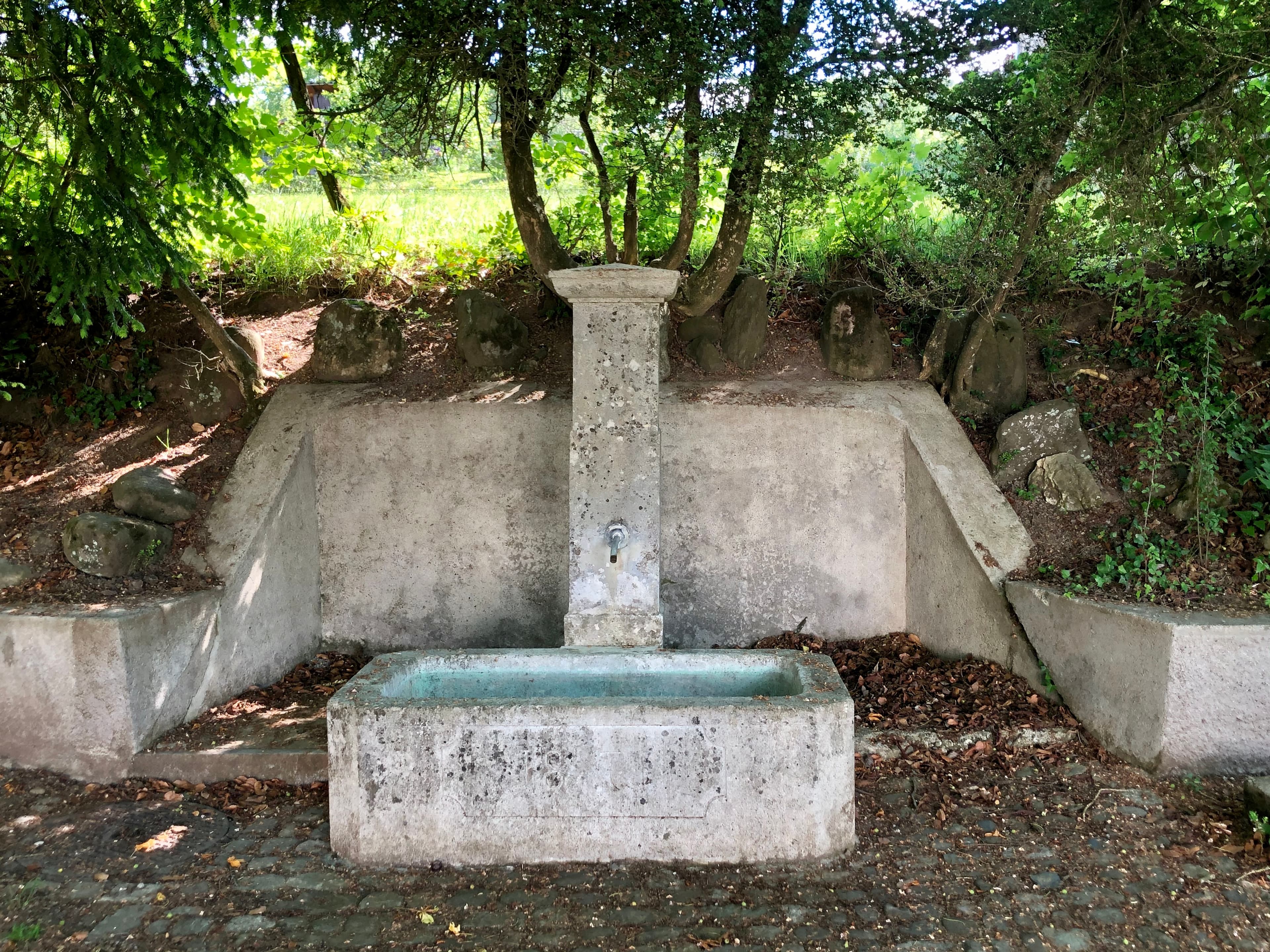 Heinrich Bosshardstr. 19