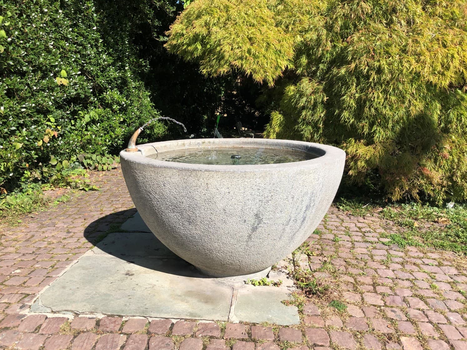 Butzenstrasse/Albisstrasse