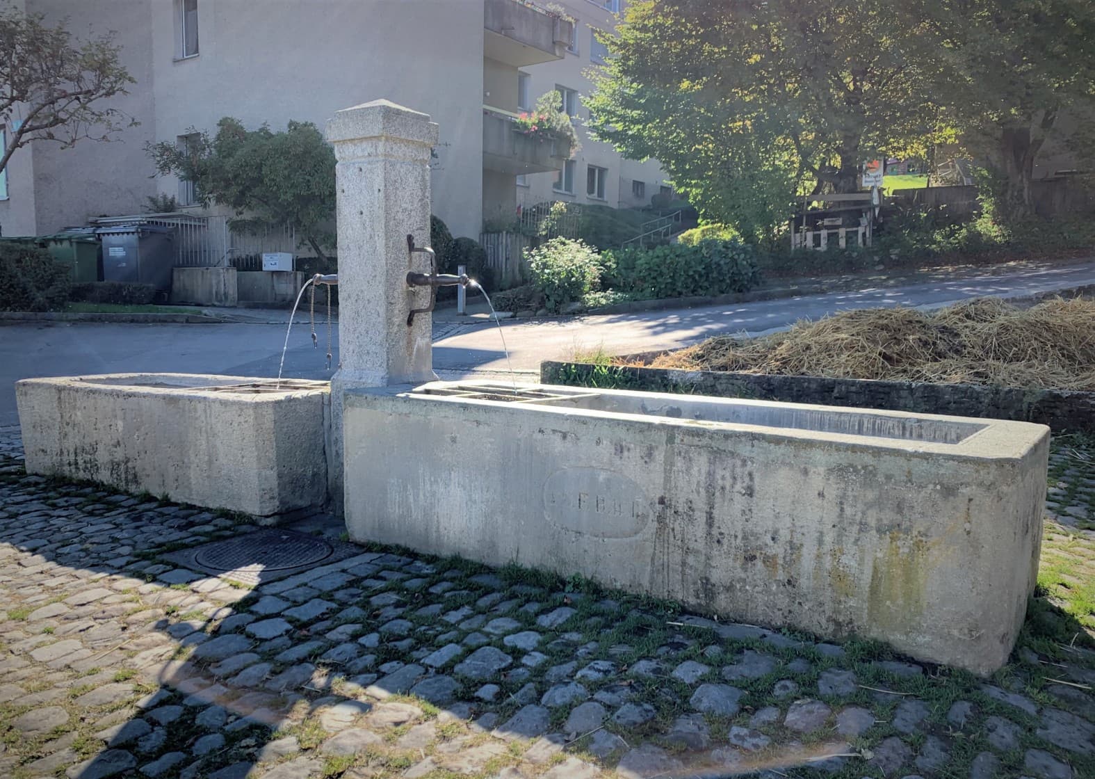 Friesenbergstrasse/Zielweg